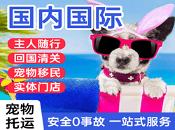文山砚山机场货运国际宠物托运 【国